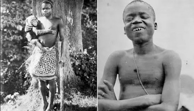 Ota Venga exhibido en San Luis Estados Unidos en 1904.jpg