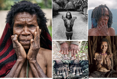 Los Dani de Papúa Occidental.jpg