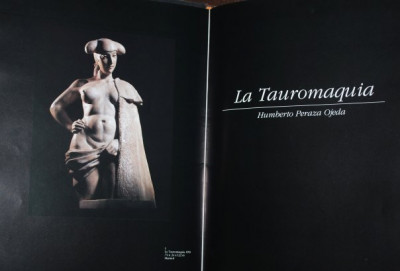 Humberto Peraza la tauromaquia.jpg