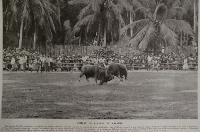 Kelantan Malasia 1937.jpg