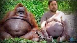Monos en política Junqueras.jpg