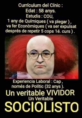 7 abril Iceta curriculum.jpg