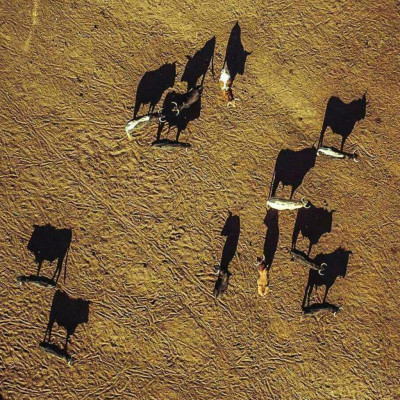 Fotografía vía titafa.jpg