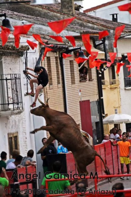 La vaca emparrada y el cable del santo patrón.png