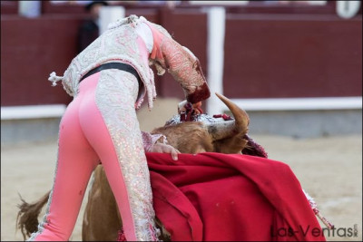 Alejandro Marcos en Las Ventas.jpg
