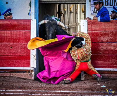 Temerario en México.jpg