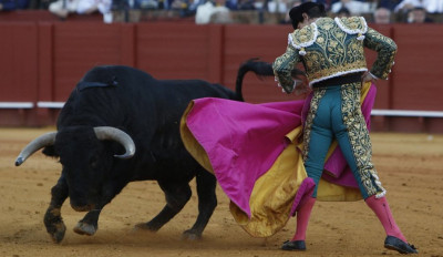 Orgullito en el capote.jpg