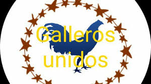 Galleros aguascalientes.jpg
