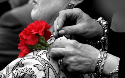 Un clavel en los toros foto Paloma Aguilar junio 2008.jpg