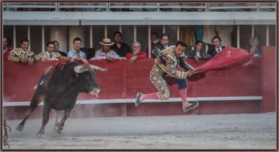 Antonio Ferrera Salto de la rana JP Camargue foto.png