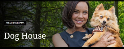 dog house chenoa.jpg