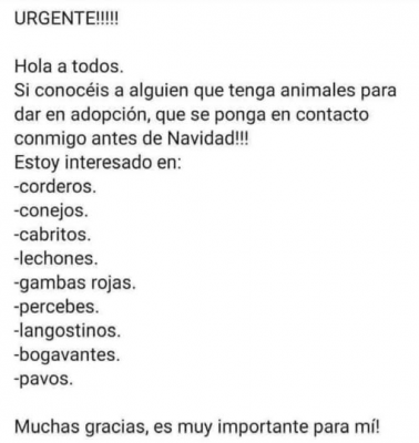 adopciones por navidad.png