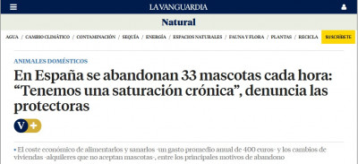 Abandono mascotas 33 cada hora.jpg