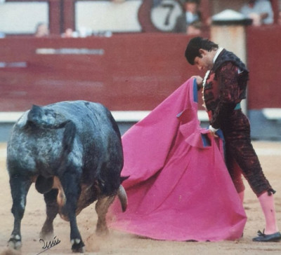 Rafael de Paula, verónicas.jpg