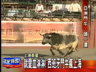 toros en shangái.jpg