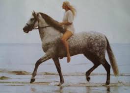 Leopoldo Pomés, fotografía publicitaria, Terry.jpg