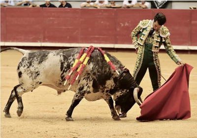 Morenito de Aranda en Burgos 2023.jpg