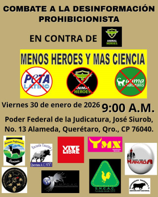 Manifestacion de apoyo horas antes.jpg