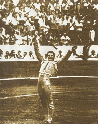 Estiércol de toro Joselito.jpg