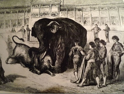 Gustave Doré Combate entre un toro y un elefante.jpg