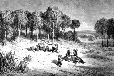 Naranjos en Carcagente de Gustave Doré.jpg