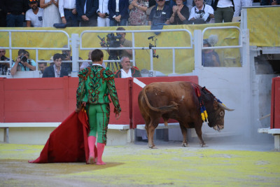 Ingenioso tor indultado por Juan Bautista en Arlés.jpg