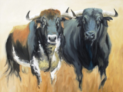 Fernando López Pascual Toros.jpg