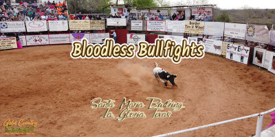 7 Texas Corridas de toros sin muerte.jpg