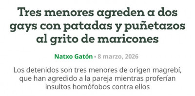 Vitoria agresión homosexuales por magrebís.jpg