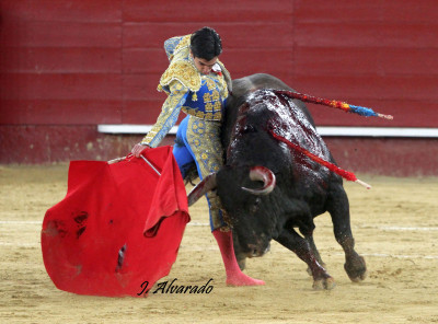 Marco Pérez Valencia foto Alvarado.jpg