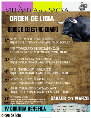 Toros de Don Celestino Cuadri.jpg