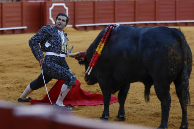 A quién mira Morante con el toro ahí.jpg