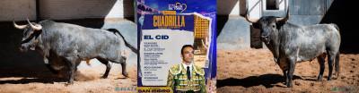 El Cid N 37, Galonero,  segundo de la tarde. N 9, “Chicharito”, cuarto de la tarde.jpg