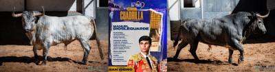 Manuel Diosleguarde N 30, “Vendaval”, primero de la tarde. Nº 55, “Trianero”, sexto de la tarde.jpg