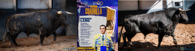 Sin títuloCartel del novillero y su cuadrilla y lote de Pedro Luis.jpg