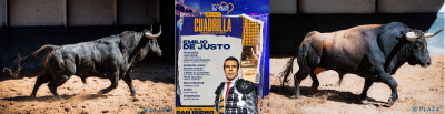 Emilio de Justo Nº 112, “Duplicado”,  segundo de la tarde. Nº 14, “Impuesto”.jpg