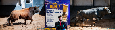 Pedro Montaldo Nº 21, “Barrenero”,  segundo de la tarde. Nº 49, “Extranjero”.jpg