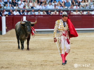Antonio Ferrera entra a matar.jpg