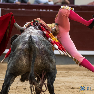 Cornada a Paco  Ureña San Isidro 2026.jpg