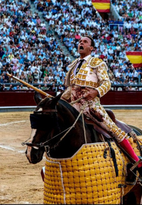 Antonio Ferrera picador en Las Ventas.jpg