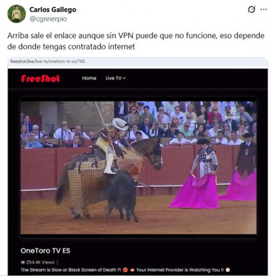 OneToro pirata.jpg
