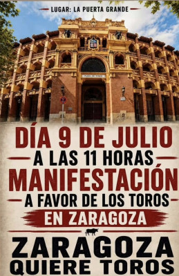 Zaragoza manifestación.jpg
