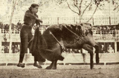 Pierrette Le Bourdiec entra a matar blog gestauro.jpg