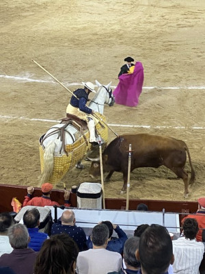 720 kilos pesa el toro 630 el caballo En Las Ventas.jpg