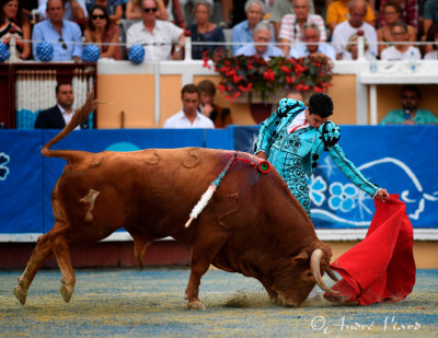 Marco Pérez Foto de André viard.jpg