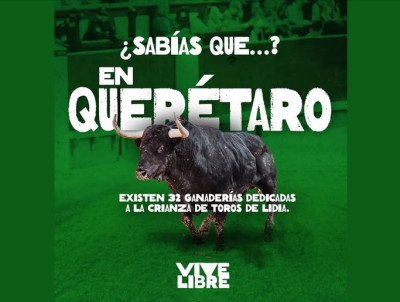 32 ganaderías de toros bravos en Querétaro.jpg