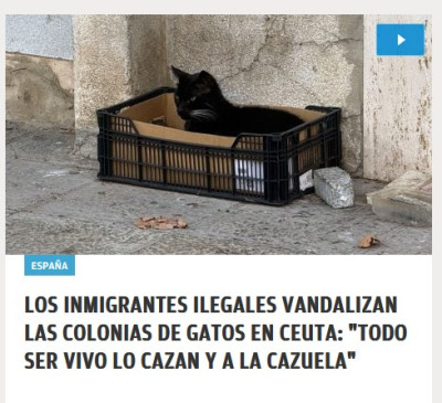 mascotas a la cazuela en Ceuta.jpg