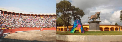 Apizaco Plaza de Toros Monumental Rodolfo Rodríguez El Pana.jpg