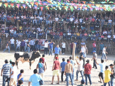 Celebran el tradicional Baxal Toro en Tizimín.jpg