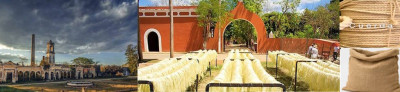 Haciendas henequeras en Yucatán.jpg